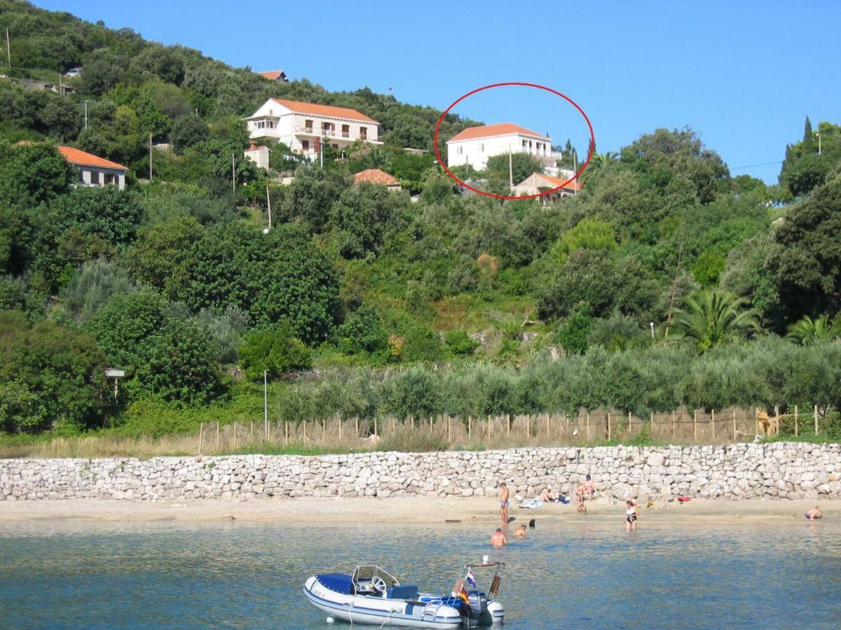 Diving Apartments Molunat Buitenkant foto
